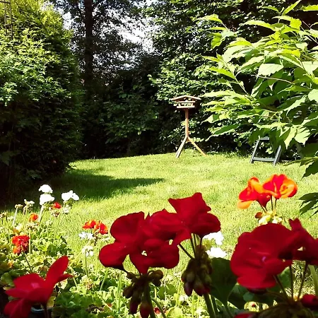 Cosy In Hildfeld With Terrace Winterberg